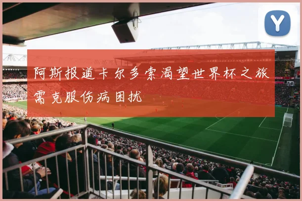 阿斯报道卡尔多索渴望世界杯之旅需克服伤病困扰