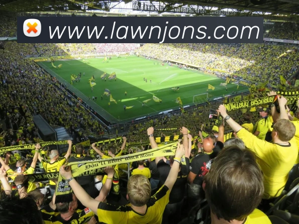 App 示例图